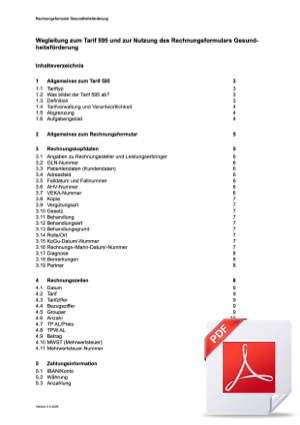 Tarif 595 Wegleitung